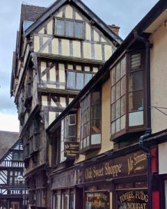 Ancient High House, Stafford