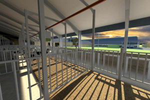 Bull Breeding Facility