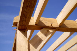 Dovetailed First Floor Joists