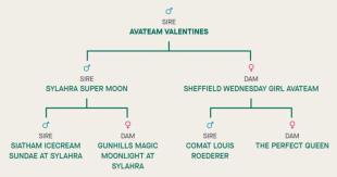 Family Tree