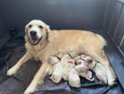 Mum & the kids