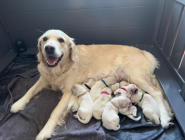 Mum & the kids