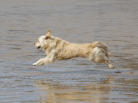 Walking on Water